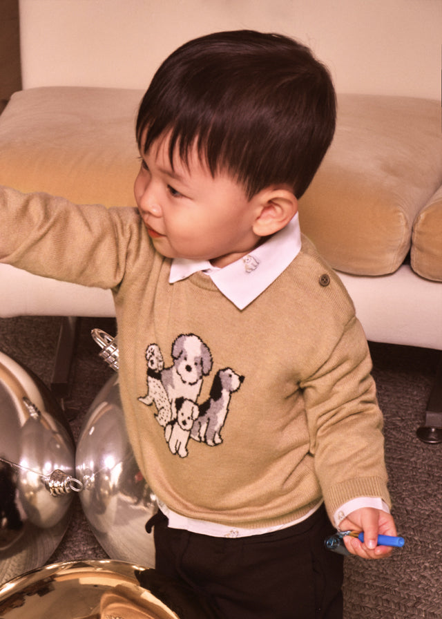 Jersey intarsia - Bolacha vi