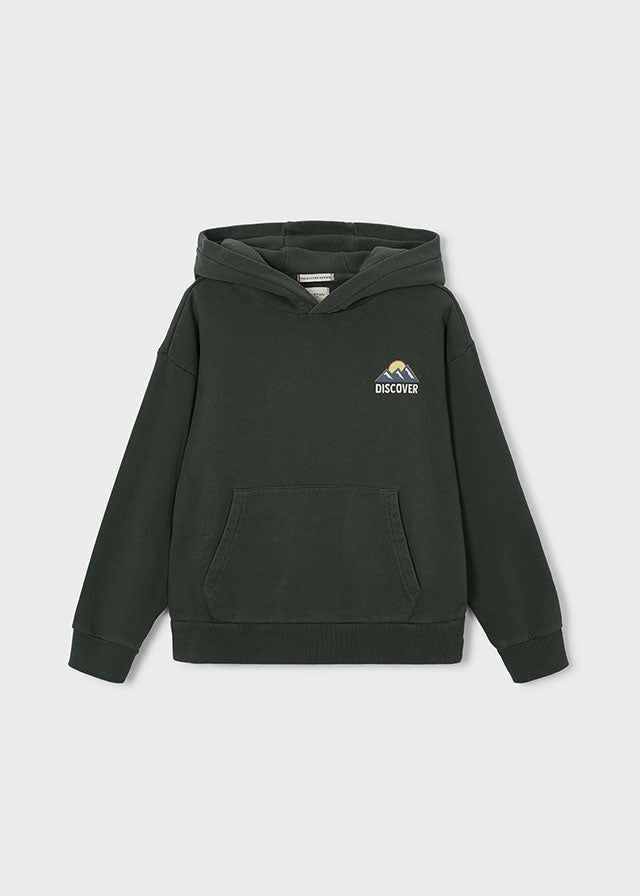 Sweat capuz print - Pinho