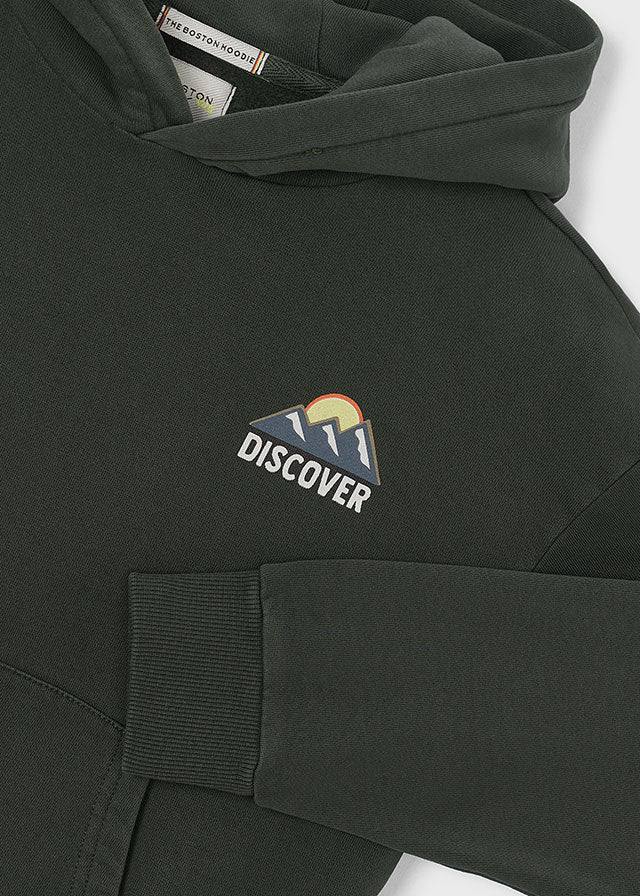 Sweat capuz print - Pinho